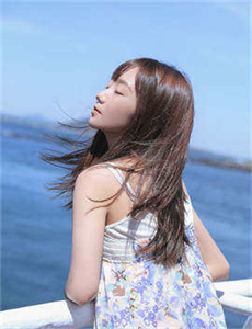 蜜蜂酿蜜