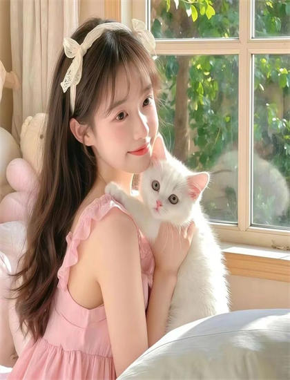 文化研究：《镇域明王》如何展现斯坦尼康的稳定运动与流畅感 揭示电影的文化价值与意义